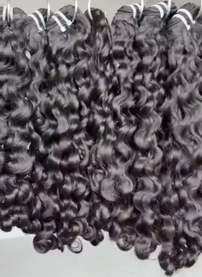Burmese Curly